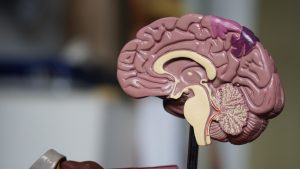 Tracking Brain Health to Detect Alzheimer’s