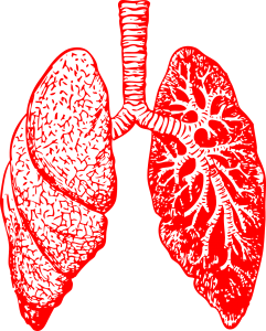 COPD Symptoms Guide